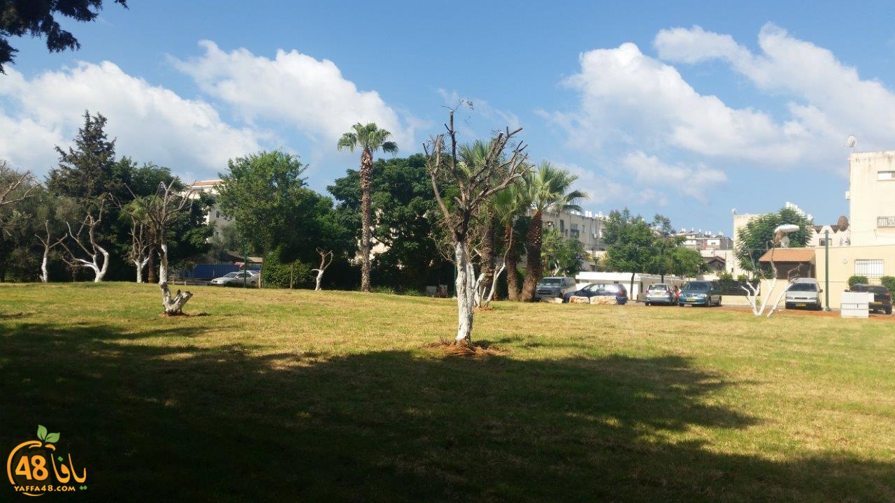 gardent tempereery (1).jpg